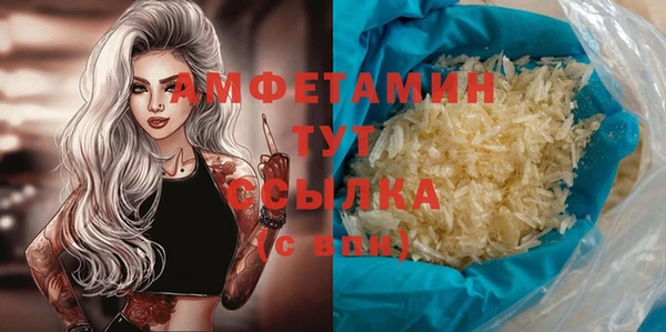 хмурый Арсеньев