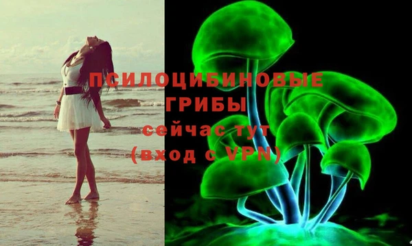 хмурый Арсеньев