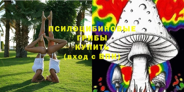 бутират Аркадак