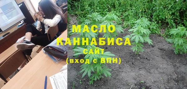хмурый Арсеньев