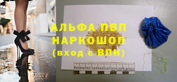 хмурый Арсеньев